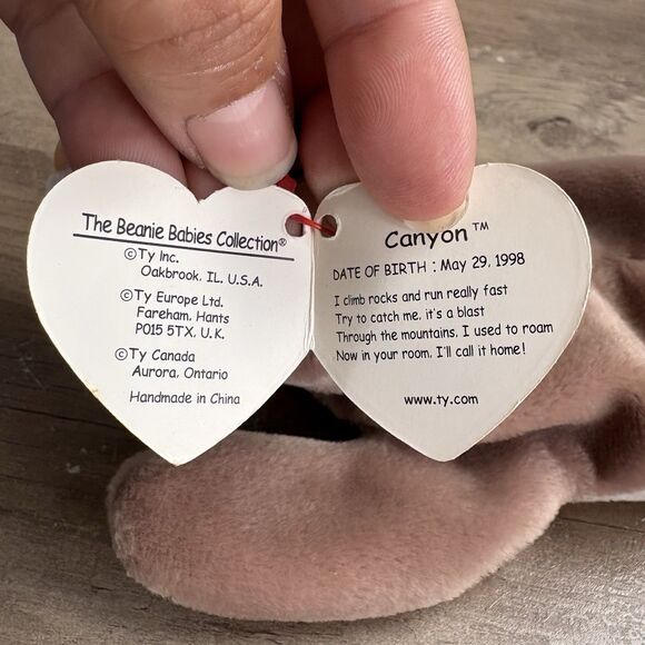 Ty Beanie Baby Plus  Mountain Lion Canyon May 29 1998 - Picture 9 of 11